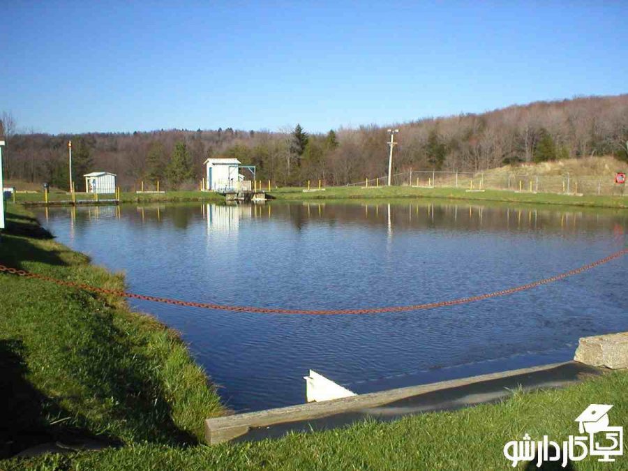 پرورش قزل آلا در استخر های خاکی