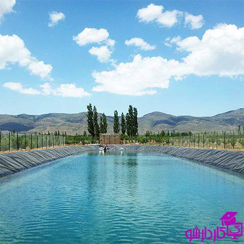 پرورش قزل آلا در استخر ذخیره ی آب کشاورزی