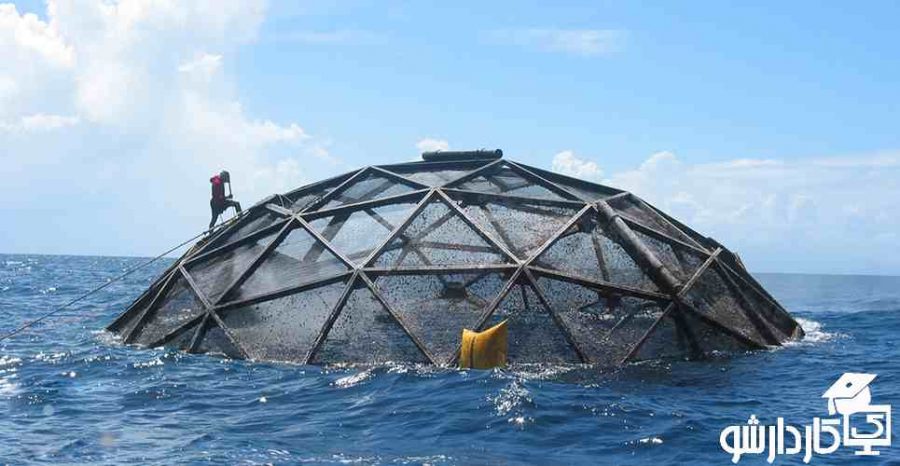 پرورش قزل آلا در قفس ها شناور