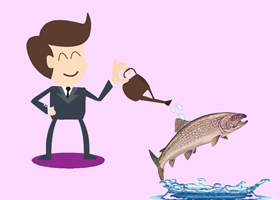 پرورش ماهی قزل آلا از(0 تا 100)و هرآنچه باید بدانید+ویدئو