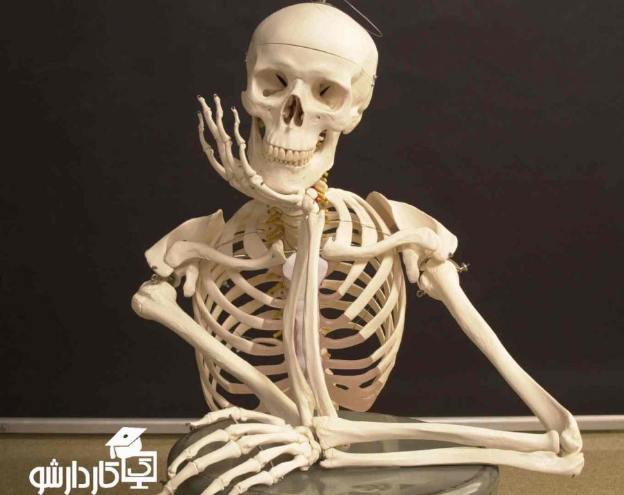 خواص قزل آلا و پوکی استخوان