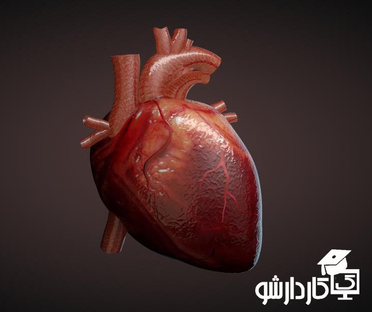 قلبی قدرتمند با ماهی قزل آلا