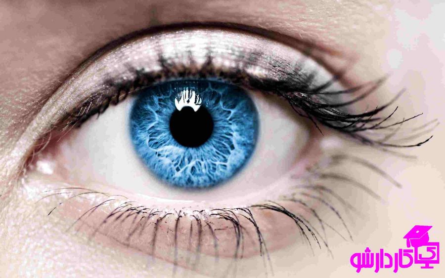 ماهی قزل آلا و سلامت چشم