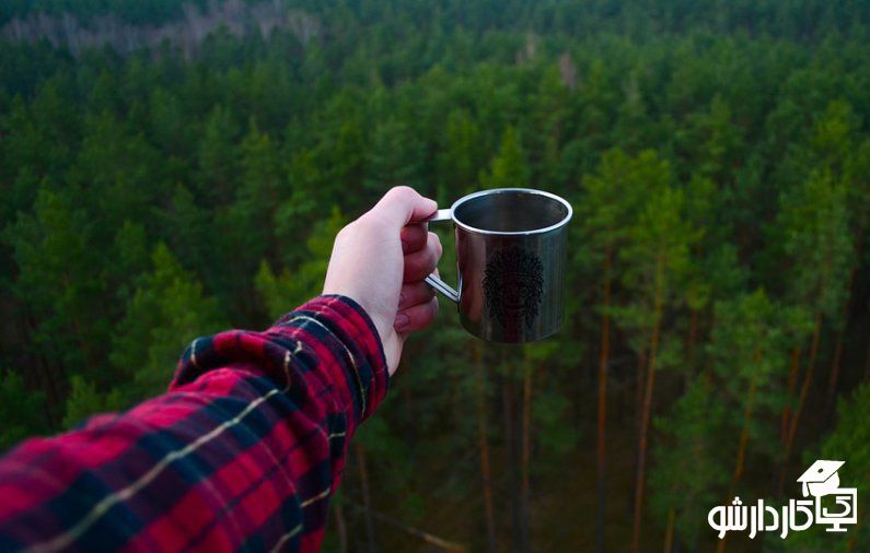 مزایای پرورش ماهی در خانه