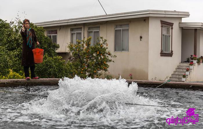 پرورش ماهی در خانه
