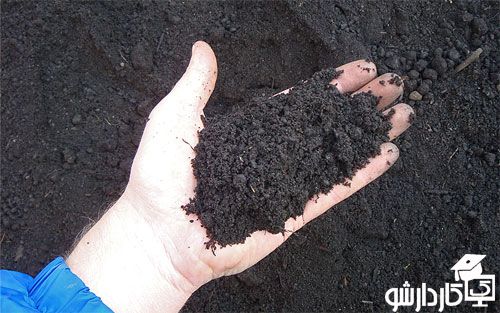 خاک پوشش برای قارچ دکمه ای