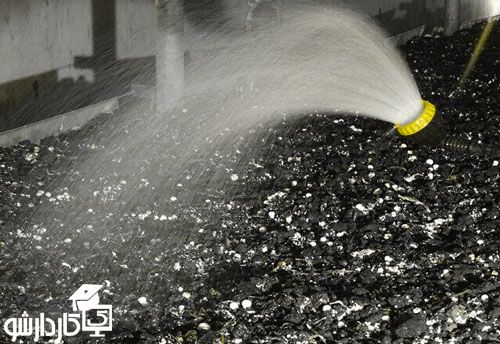 آبیاری قارچ دکمه ای