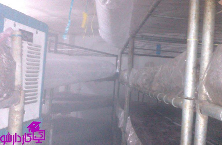 سرمایش برای پرورش قارچ