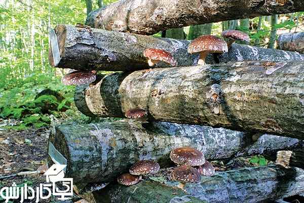  به روش قدیم