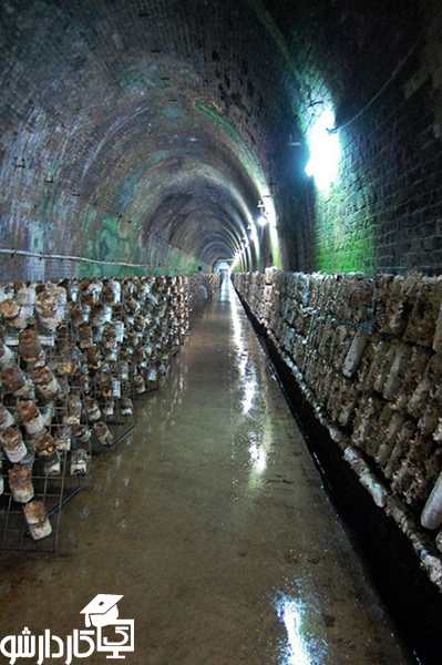 به روش جدید