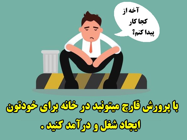 آموزش پرورش قارچ