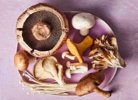 اخطار!!! تازمانی که این مقاله رو نخوندی پرورش قارچ رو شروع نکن