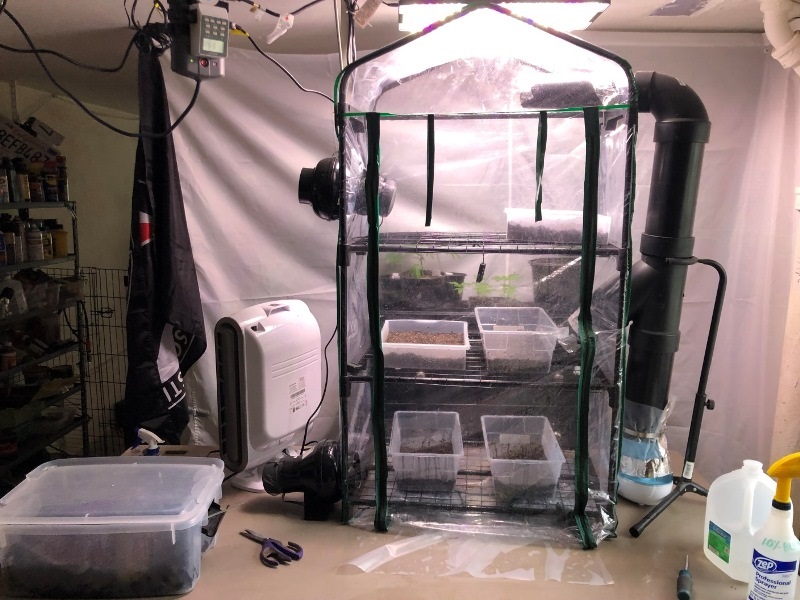 ساده ترین روش پرورش قارچ درمنزل