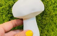 پرورش قارچ درمنزل بدون هیچ تخصصی(نقشه راه کامل)+ویدئو